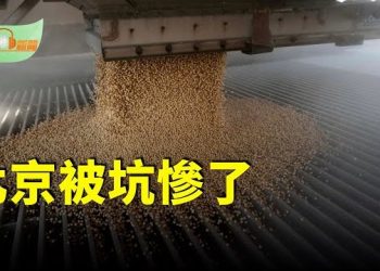 【希望聽新聞】北京被坑慘了；盧比奧吹風，北京大交易恐怕落空；川普將和高市會面 或討論稀土合作對抗中共；高市早苗就任日本首相 習近平罕見未發賀電