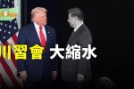 香港希望之聲