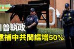 香港希望之聲