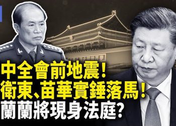 【希望快訊】傳聞做實了！何衛東、苗華官宣落馬，習家軍九上將遭清洗，律師爆：楊蘭蘭恐親自出庭！ 