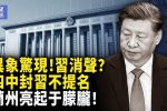 香港希望之聲