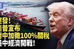 香港希望之聲