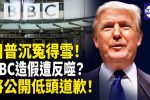 香港希望之聲