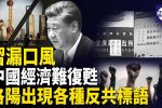 香港希望之聲