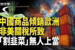 香港希望之聲