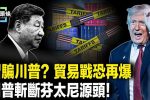 香港希望之聲