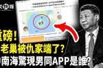 香港希望之聲