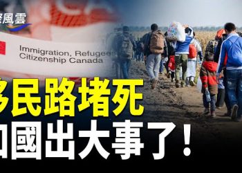 【國際風雲】移民路堵死，加國出大事了！難民申請突增近百分百；以身入局救人！于朦朧微博洩罕見心路歷程！