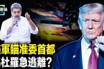 香港希望之聲