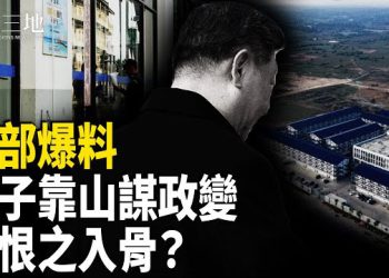 【兩岸三地】吹哨人曝太子內幕 陳志靠山顛覆習政權？倫敦豪宅藏秘密
