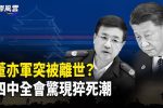 香港希望之聲