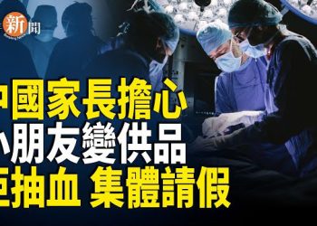 【即時新聞】中共活摘不再掩飾？器官大會高調開幕 國人集體恐慌：家長反擊「誰敢抽血我就要佢命！」；美國大使譏諷薛劍「未經訓練的狗」