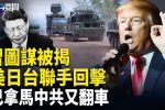 香港希望之聲
