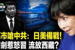 香港希望之聲