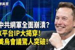 香港希望之聲