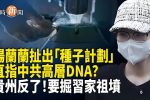 香港希望之聲