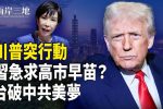香港希望之聲