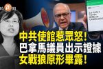 香港希望之聲