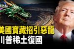 香港希望之聲