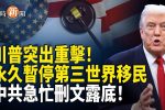 香港希望之聲