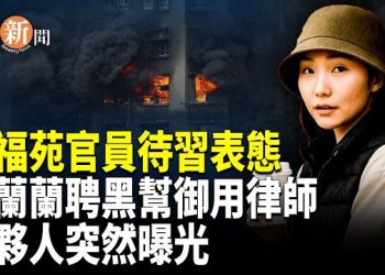 【即時新聞】震撼反轉！楊蘭蘭合伙人突然曝光 牽出一宗大案元兇 黑幫御用律師「黑歷史」驚人外洩 竟靠此招替她脫罪