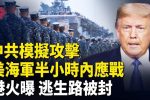 香港希望之聲