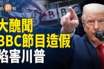 香港希望之聲