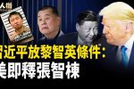香港希望之聲