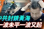 香港希望之聲 香港希望之聲