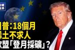 香港希望之聲