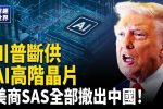 香港希望之聲
