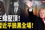 香港希望之聲