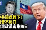 香港希望之聲