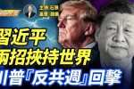 香港希望之聲
