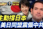 香港希望之聲