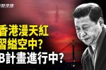 香港希望之聲
