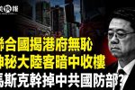 香港希望之聲