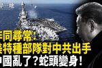 香港希望之聲