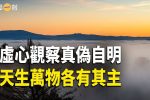 香港希望之聲
