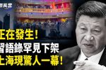 香港希望之聲
