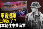 香港希望之聲