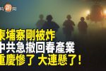 香港希望之聲