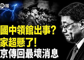 【北美快報】中共衛星險撞星鏈！馬斯克入滅共戰團；台灣偷學「斬首」神技！嚇破習近平；多個中共使館一天出大事 主播：張恩