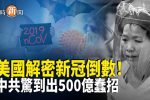 香港希望之聲