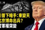 香港希望之聲