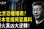 香港希望之聲