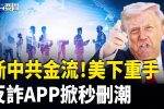 香港希望之聲