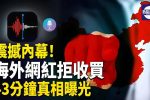 香港希望之聲
