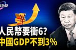 香港希望之聲