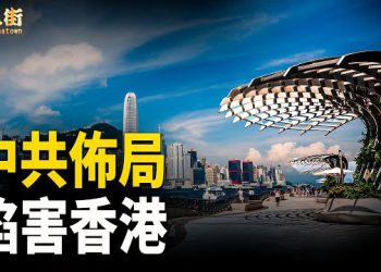 【唐人街】十二生肖運程，大陸早已在香港到處設下陷阱；泰國國王下令炸毀柬埔寨詐騙總巢   